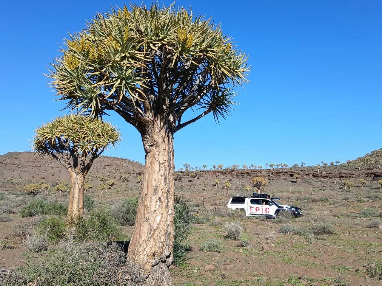 Namaqualand